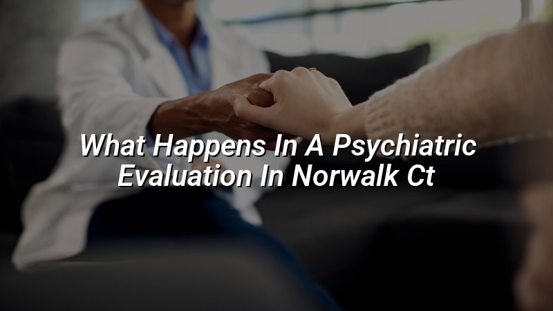 Adult psychiatric evaluation visit at Elite Health LLC