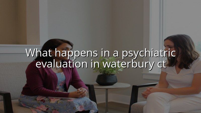 Adults discussing a psychiatric evaluation visit in Connecticut